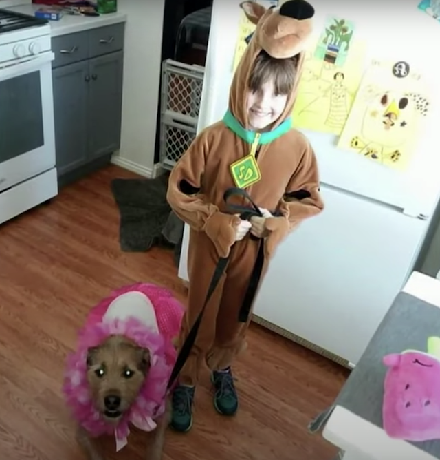 Girl and dog on Halloween