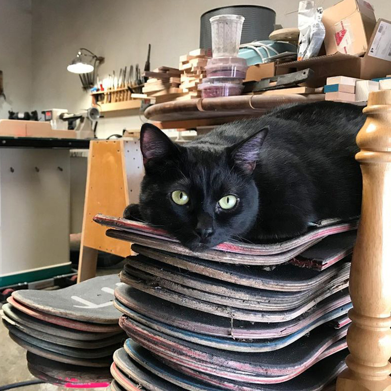 Justin and Kristin LaRose, Grizzly the Shop Cat, Recycled Skateboard Art, Woodworking, Woodturning, Long Beach, California, Black Cats, Rainbow Wood Shop, 10