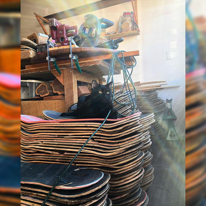 Justin and Kristin LaRose, Grizzly the Shop Cat, Recycled Skateboard Art, Woodworking, Woodturning, Long Beach, California, Black Cats, Rainbow Wood Shop, 2