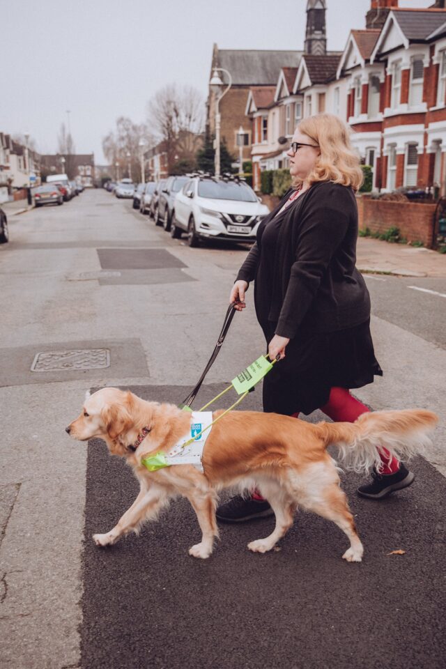 Guide dog crossing street