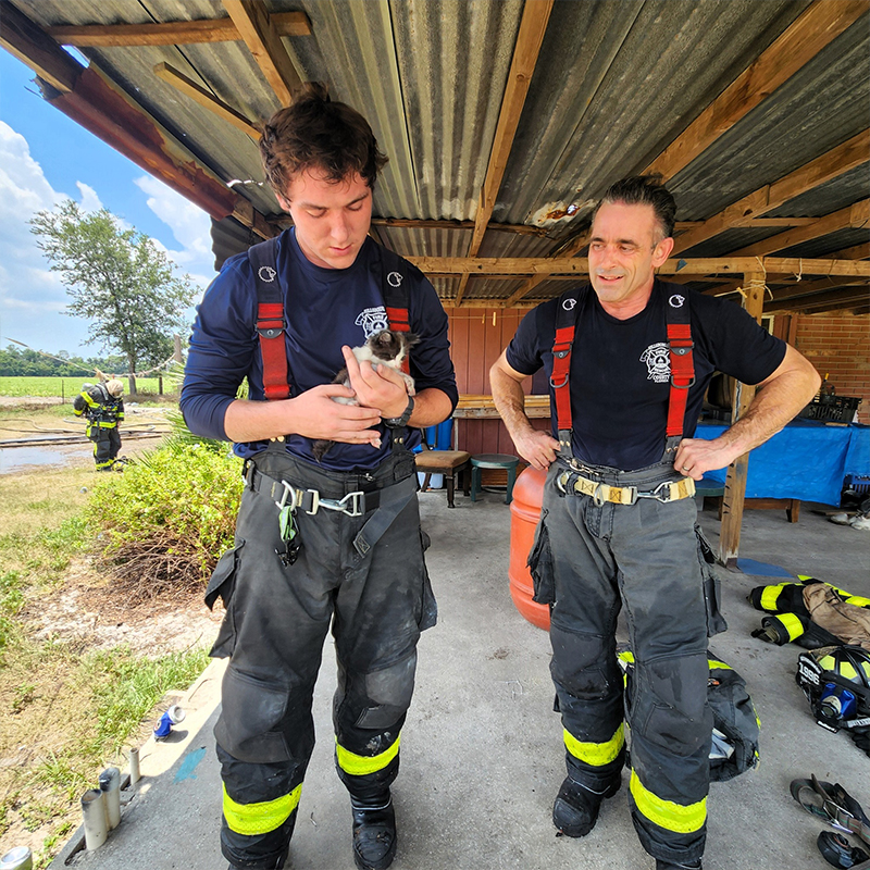 Hillsborough County Fire Rescue, Tampa, Florida, 10 kittens saved from home fire, Foster Squad, Pet Resource Center, Hillsborough County, pet oxygen masks, 7