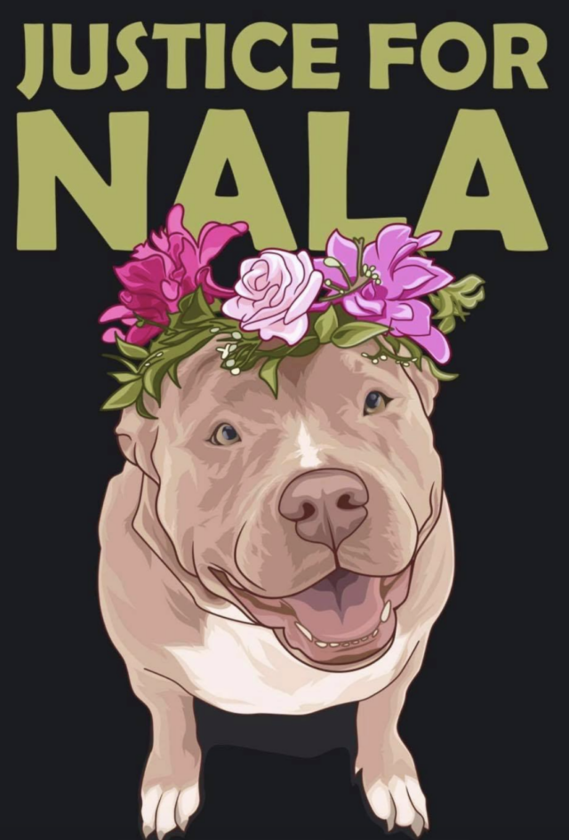 Justice for Nala