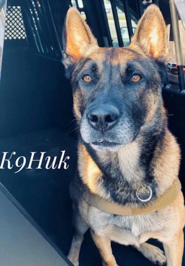 K9 Huk