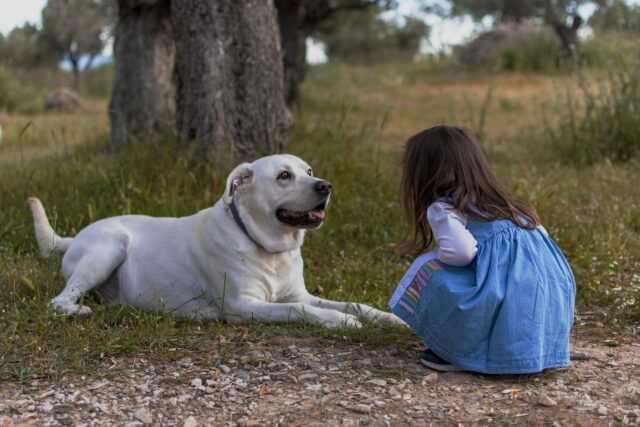 Kid interacting with dog