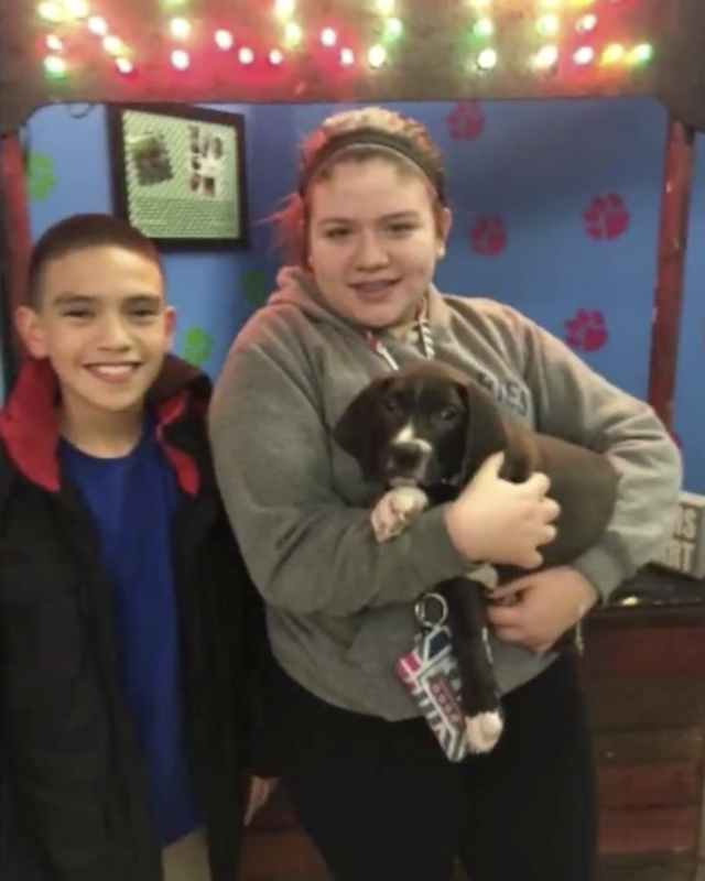 Kids adopting puppy