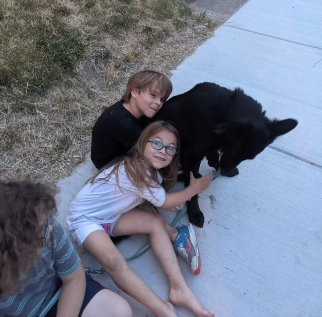 Kids hugging German Shepherd