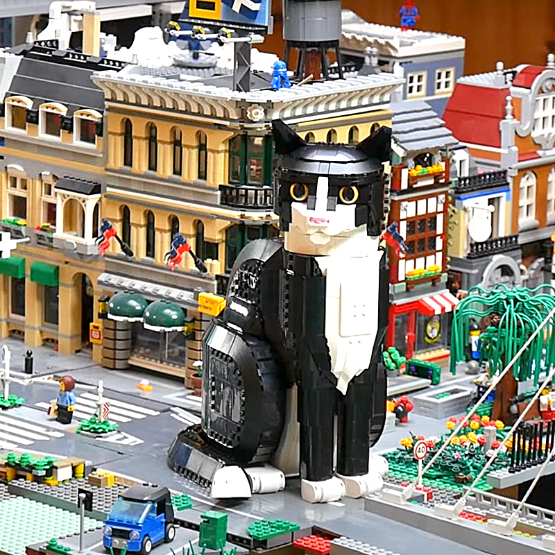 LEGO Ideas cat, Damian Andres from Belgium, Miro, Siamese, Tuxedo cat, Chris McVeigh, Nathan Davis, plastic bricks, toy cat, 8