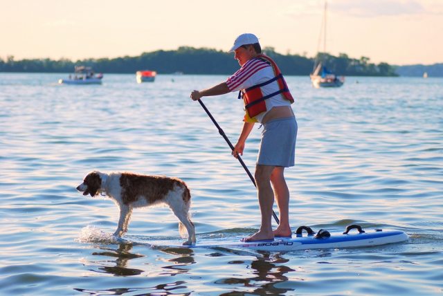 Dog Friendly Madison