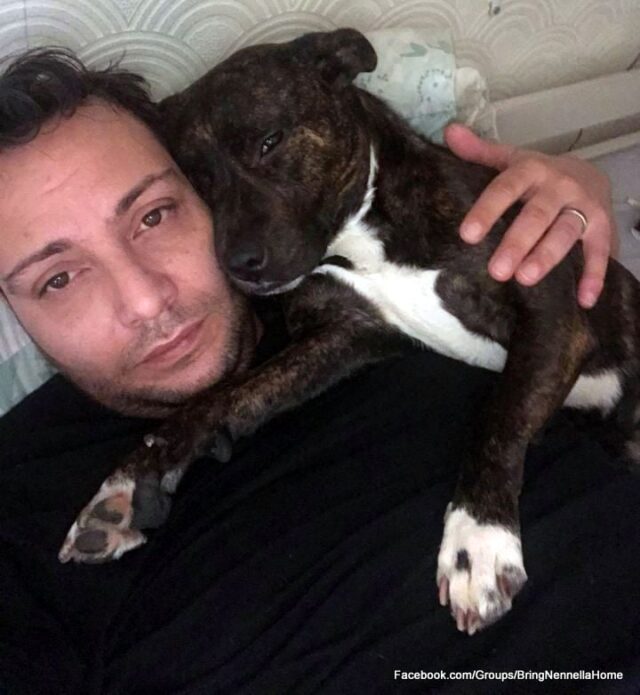 Man and Pit Bull cuddling