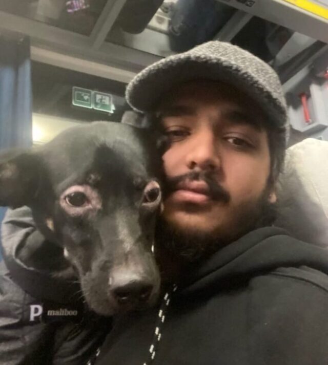 Man cuddling rescue dog in Ukraine