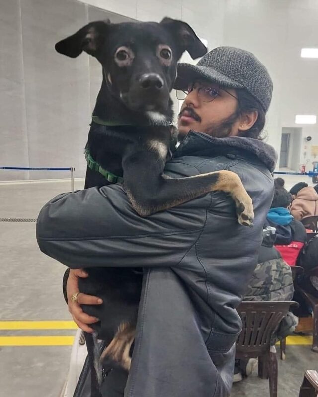 Man escaping Ukraine with his dog