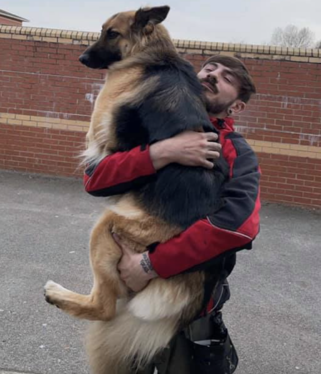 Man holding German Shepherd