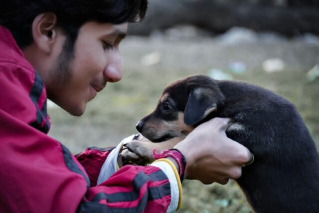 Man petting puppy