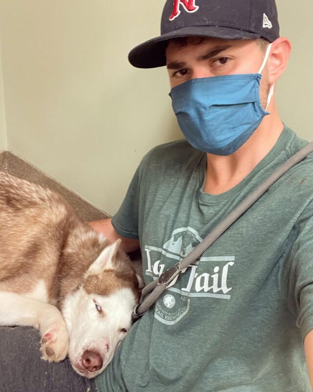 Man with injured Husky