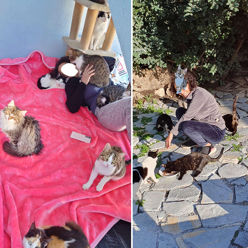 partially blind cat, Alyssa Kopp and her mother, Mary Gomes Kopp, Greek island of Crete, Rescuers, diemiezwohnung, cats.of.lefka.ori_, Chania, Aegean Airlines, Athens, CNN, search for missing cat, 2