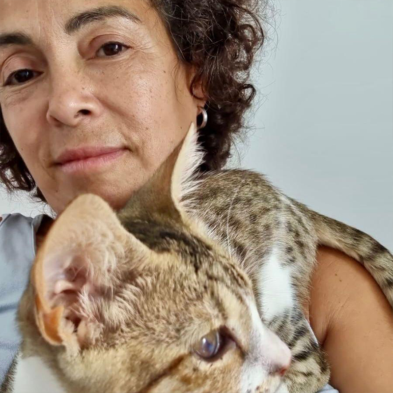 Rodri the cat, partially blind cat, Alyssa Kopp and her mother, Mary Gomes Kopp, Greek island of Crete, Rescuers, diemiezwohnung, cats.of.lefka.ori_, Chania, Aegean Airlines, Athens, CNN, search for missing cat, 6