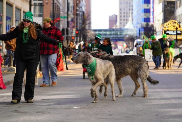 Dog Friendly Milwaukee