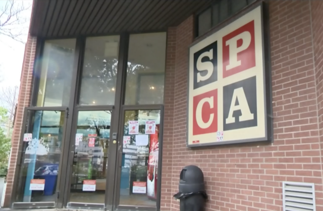 Montreal SPCA entrance