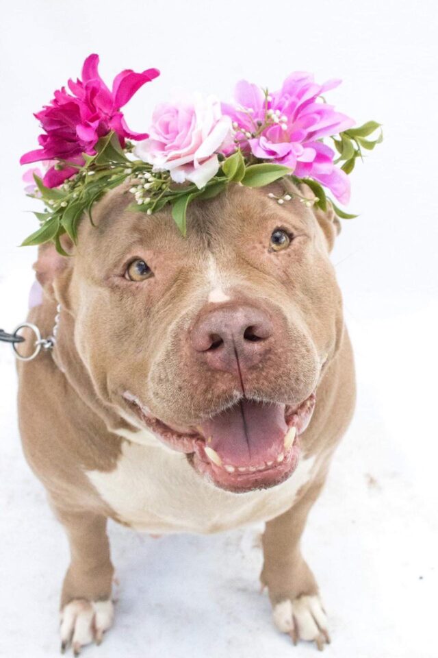 Nala Flower Crown