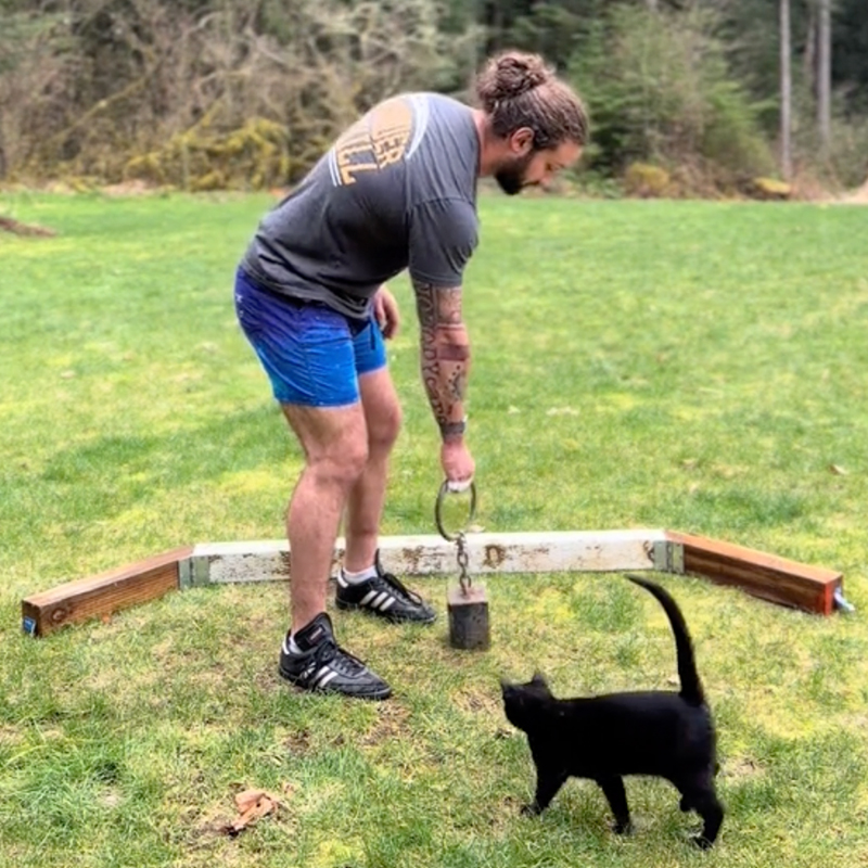 Highland Games athlete, Nathan L. Western Washington, Punkin the black cat, Riley the Yellow Labrador Retriever, cat interrupts Dad's workouts and training, weight toss, hammer toss, Backwoods Highlander, weight toss 2