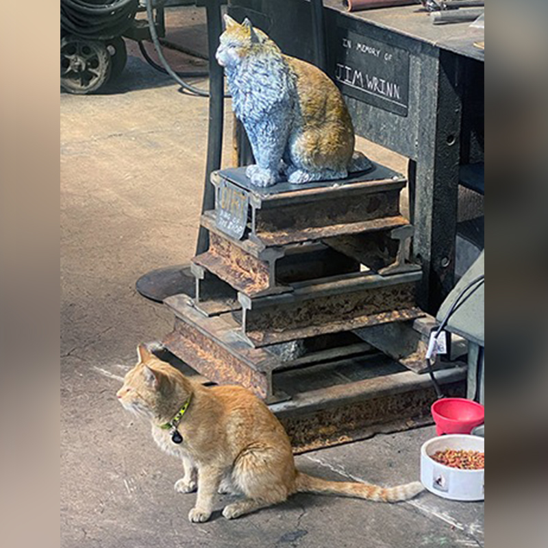 Dirt the cat, Nevada Nothern Railway, Boss Shop Cat Division, Dirt, DJ, R2D3, Kennecatt, Railroad, Caboose, Ely, shop cats, protégés, Museum, steam locomotives, Steve Crise, Bristlecone Animal Aid Rescue And Xpress (BAARX), DJ and Dirt