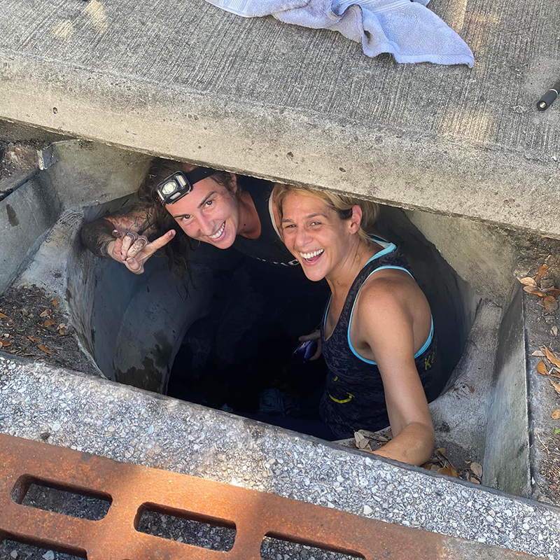 Rescuers go down in sewer to save kitten in Florida