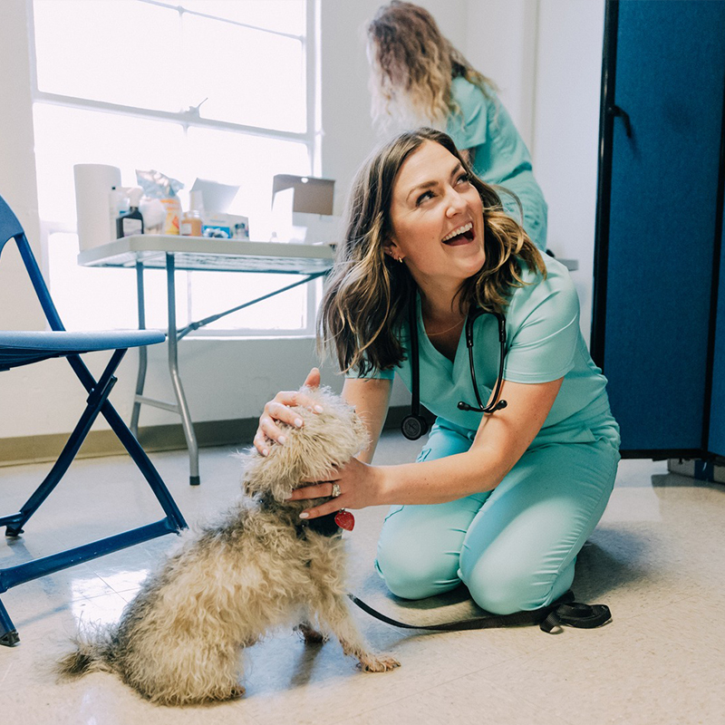 The Store, The Companion Project, Dr. Molly Brinkmann, Ashley Koll, Lemon Collaborative, Nashville, free vet clinic, Vet Store at The Store, free vet services for pets, 5, dog