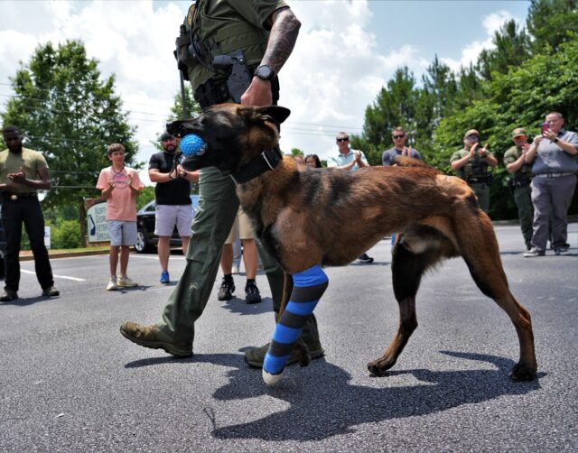 Police K9 Survives Bullet Wounds