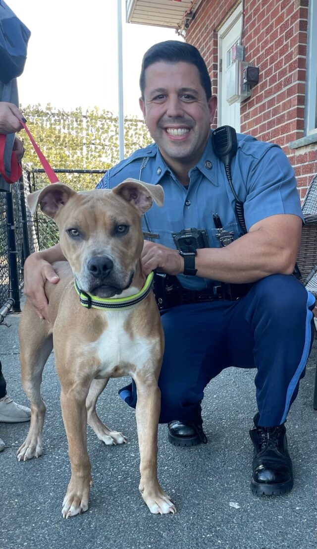 Police officer with Pit Bull