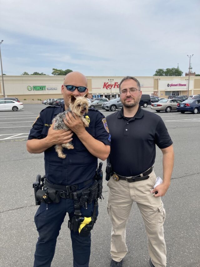 Police rescue stolen Yorkie