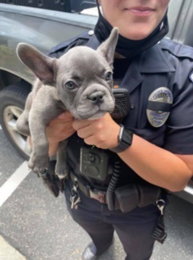 Police Save French Bulldog