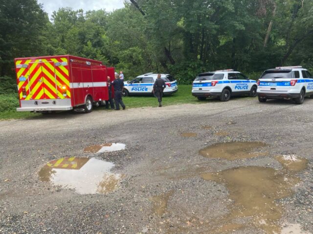 Police rescue dog from river