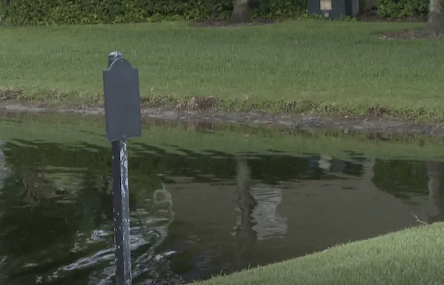 Pond with faded sign