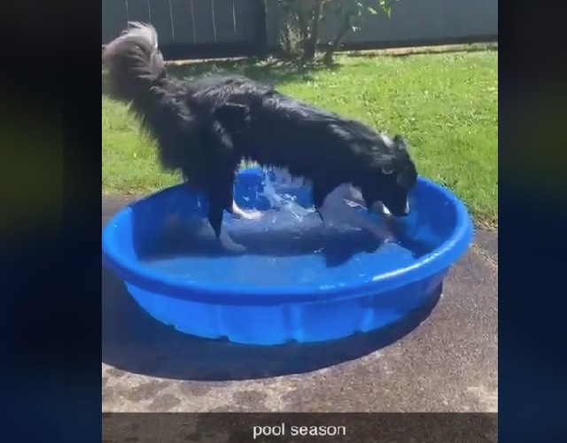 Winter digging in pool