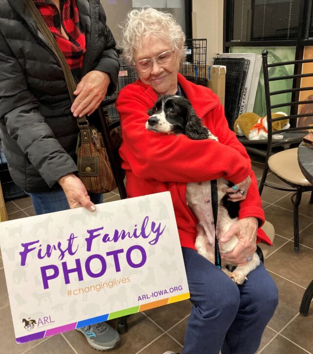 Puppy mill dog getting adopted