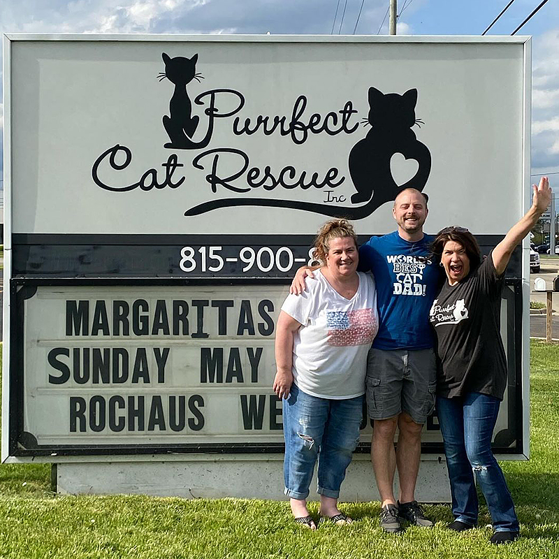 Ginger mother cat and eight ginger kittens, female ginger tabby, Crystal Lake, Illinois, Deb and Diane from Purrfect Cat Rescue, Inc., Mother's Day 2024, Five year anniversary, 1