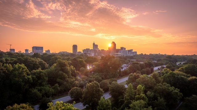 Raleigh Dog Friendly