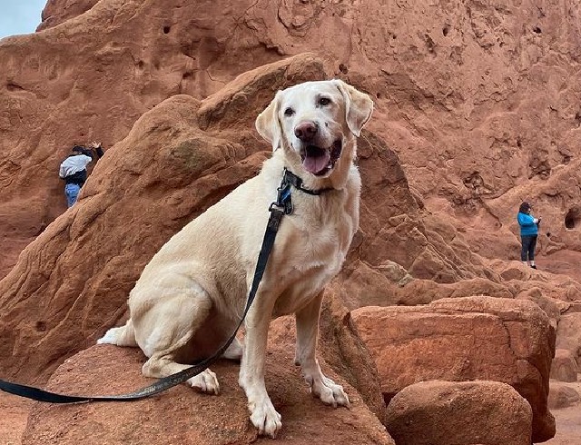 Redrocks