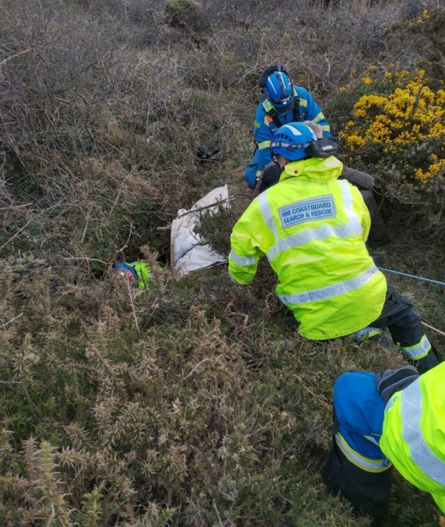 Rescuers pulling dog out