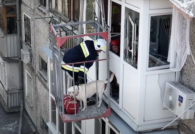 Rescuing dog from Ukraine apartment