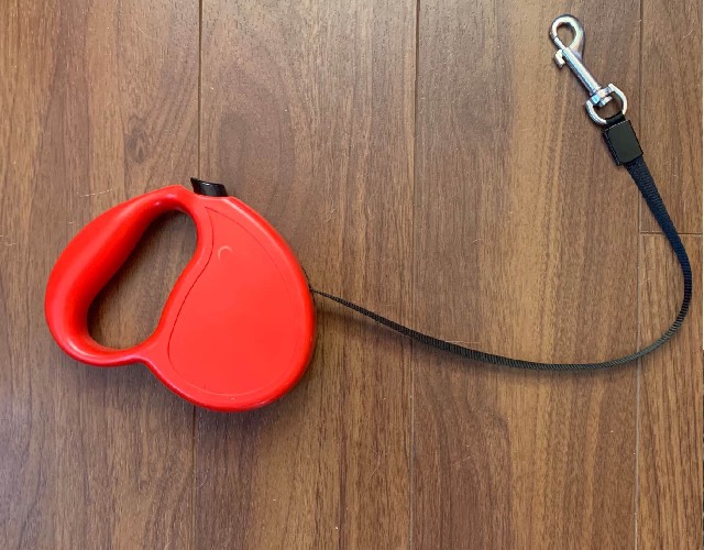 Retractable Leash