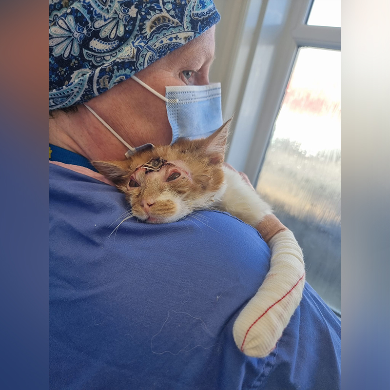 Bradford Cat Watch Rescue & Sanctuary founder Katie Lloyd with Rosa the kitty