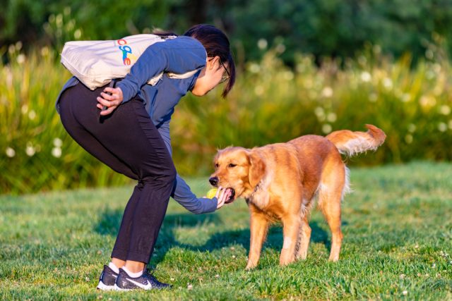 Dog Friendly San Francisco