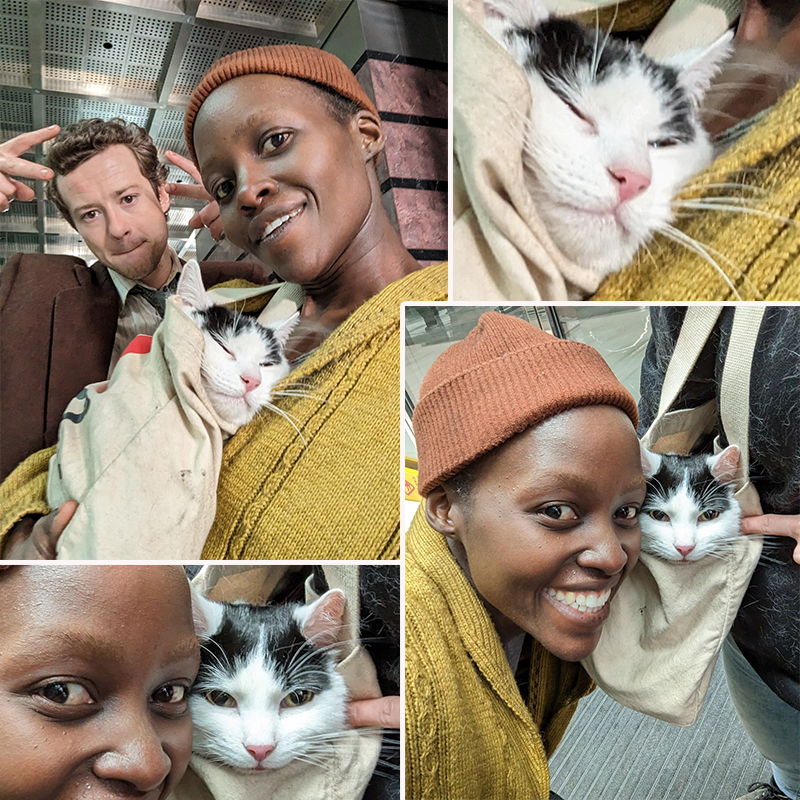 Lupita Nyong'o, A Quiet Place: Day One, overcoming fear of cats, Schnitzel and Nico, acting with cats, Hollywood Cats, Best Friends Animal Society, Yoyo the orange rescued cat, Joseph Quinn, acting with cats, 3