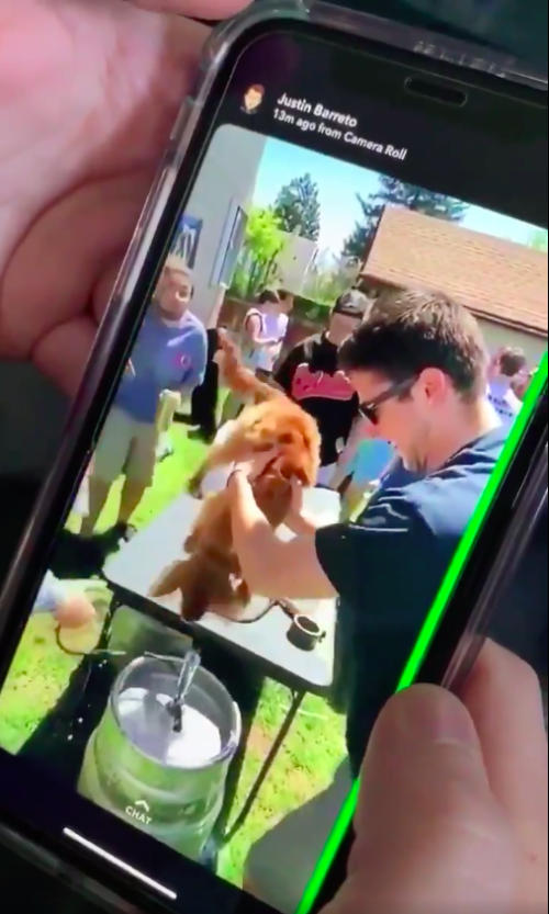 Puppy drinking from keg