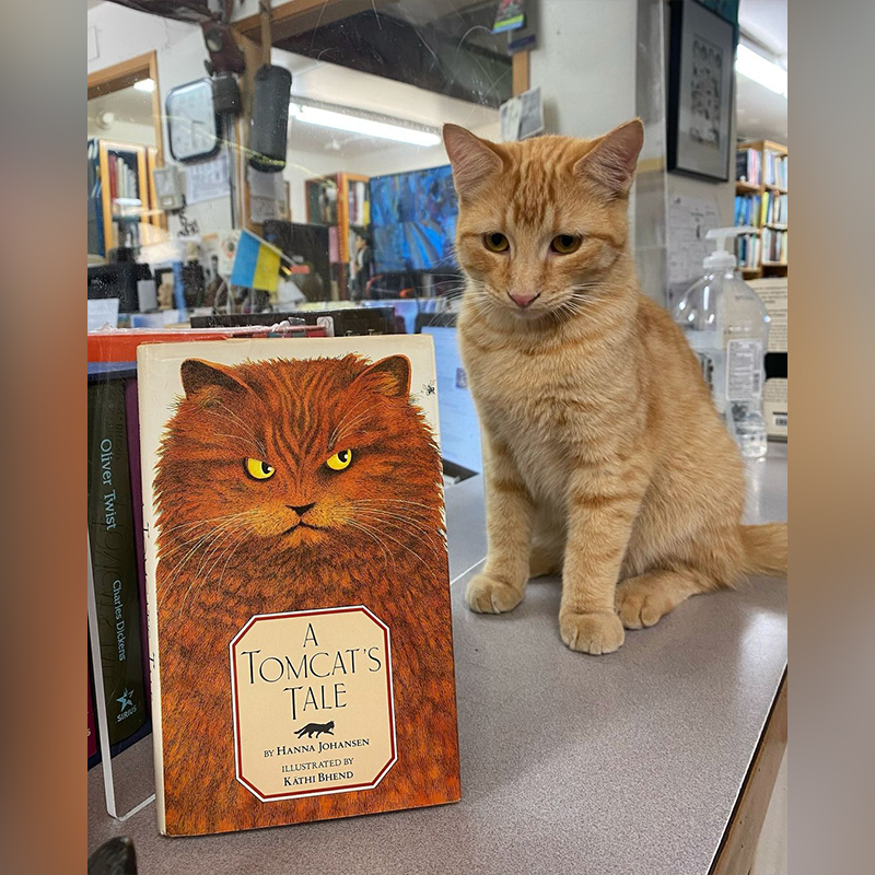 Twice Sold Tales, Seattle, Washington, bookstore cats, Jamie Lutton, Shea Vassar, cats plan world domination, books, used books, rodent control, shop cat, bodega cat, Pepperjack