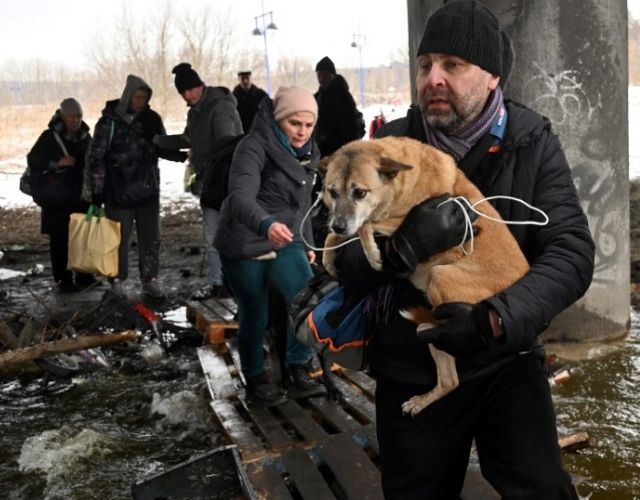 pets and rescuers Ukraine