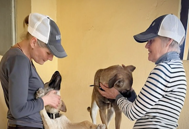 Ukraine refugees at animal shelter