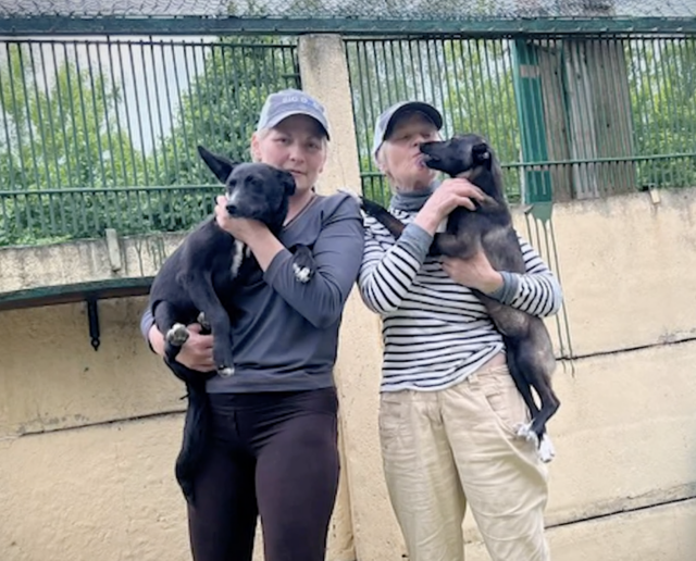 Ukraine refugees holding dogs