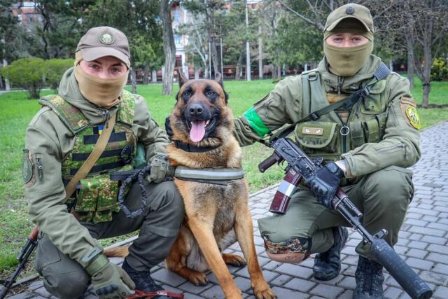 Ukraine troops with Belgian Malinois